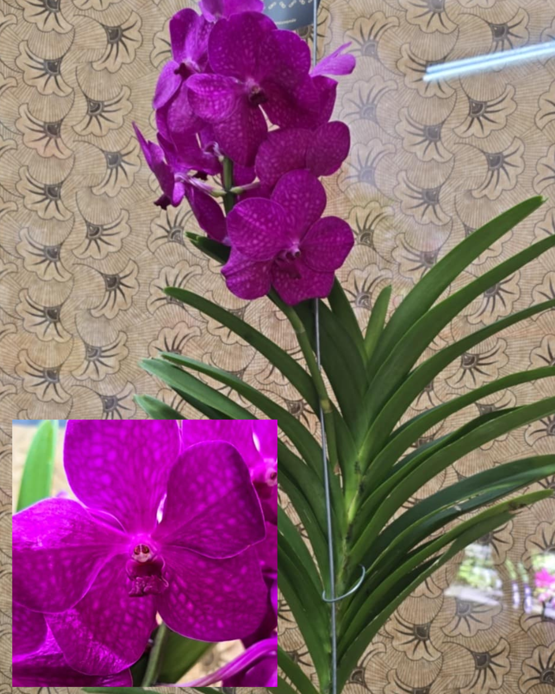 Design sem nome - 2025-11-26T172630.473