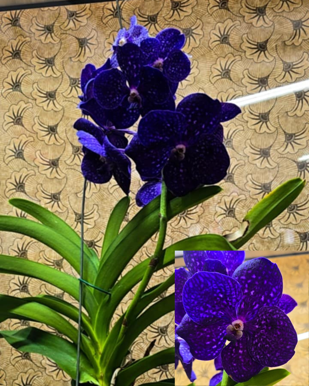 Design sem nome - 2025-11-26T174753.918