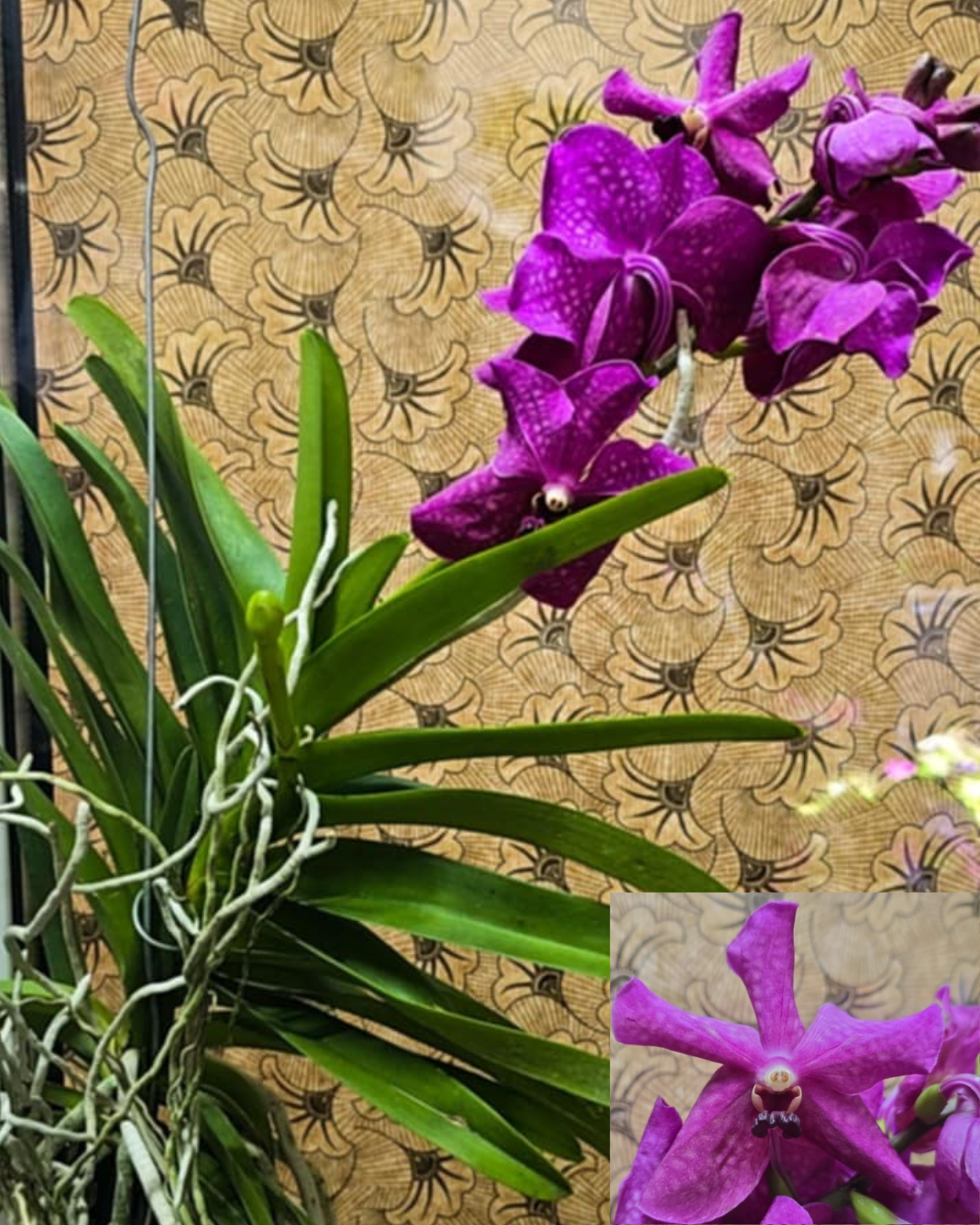 Design sem nome - 2025-11-26T175414.404