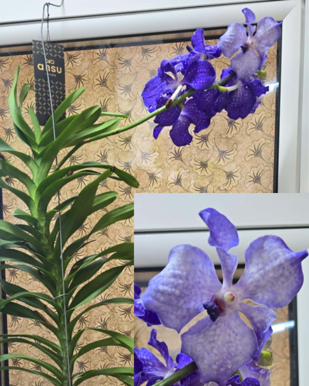 Design sem nome - 2025-11-26T180219.221