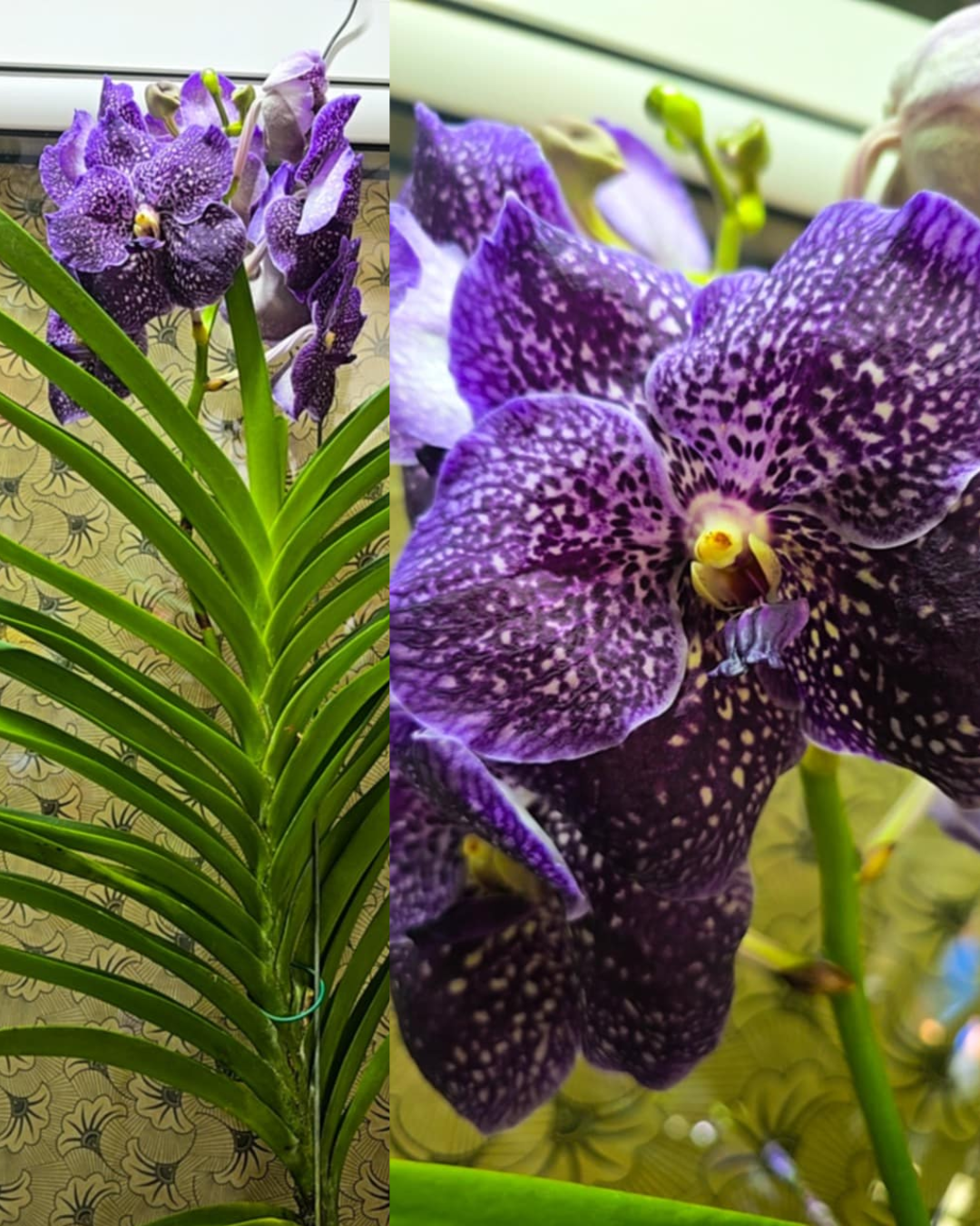 Design sem nome - 2025-11-26T180358.260