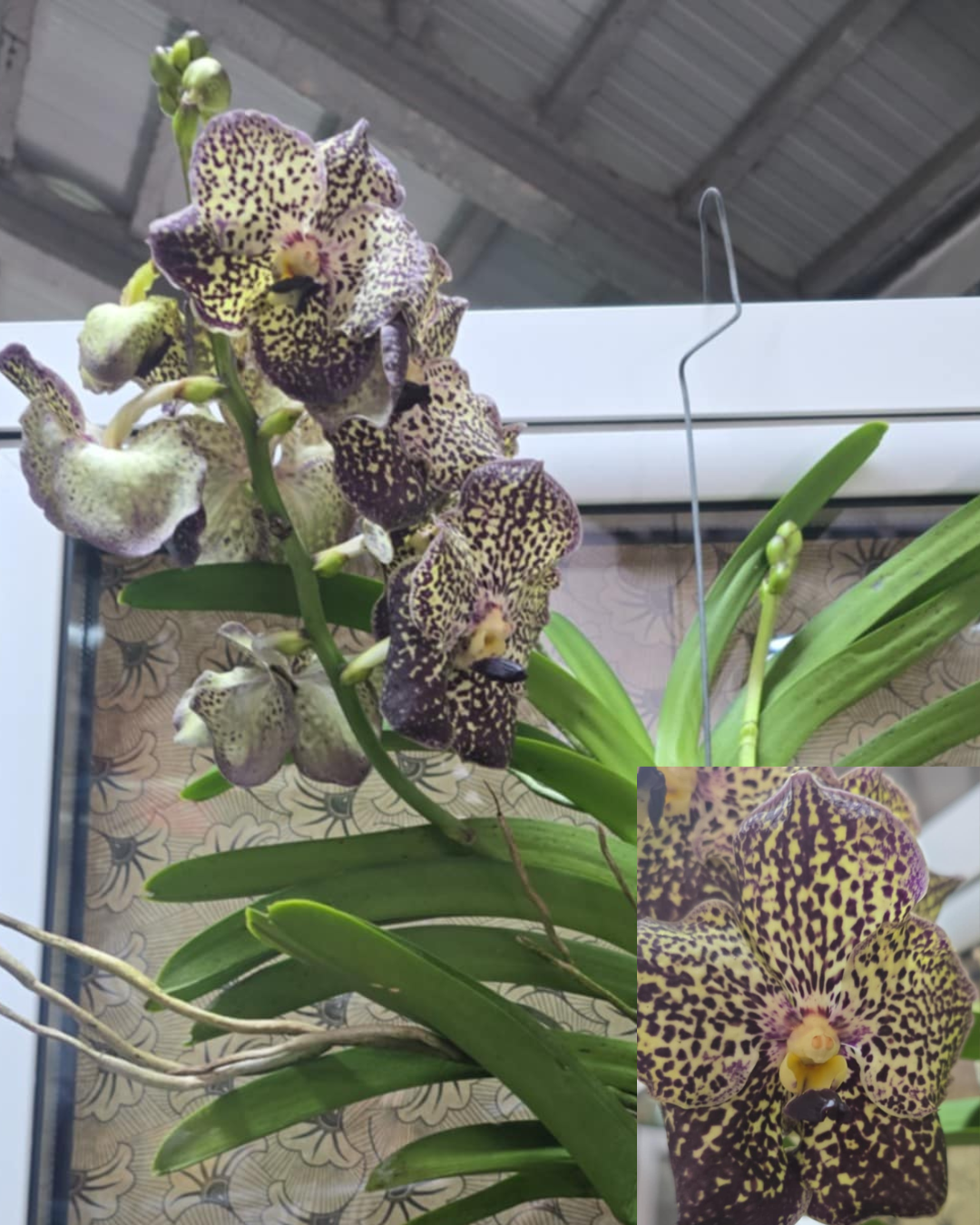 Design sem nome - 2025-11-26T182024.406