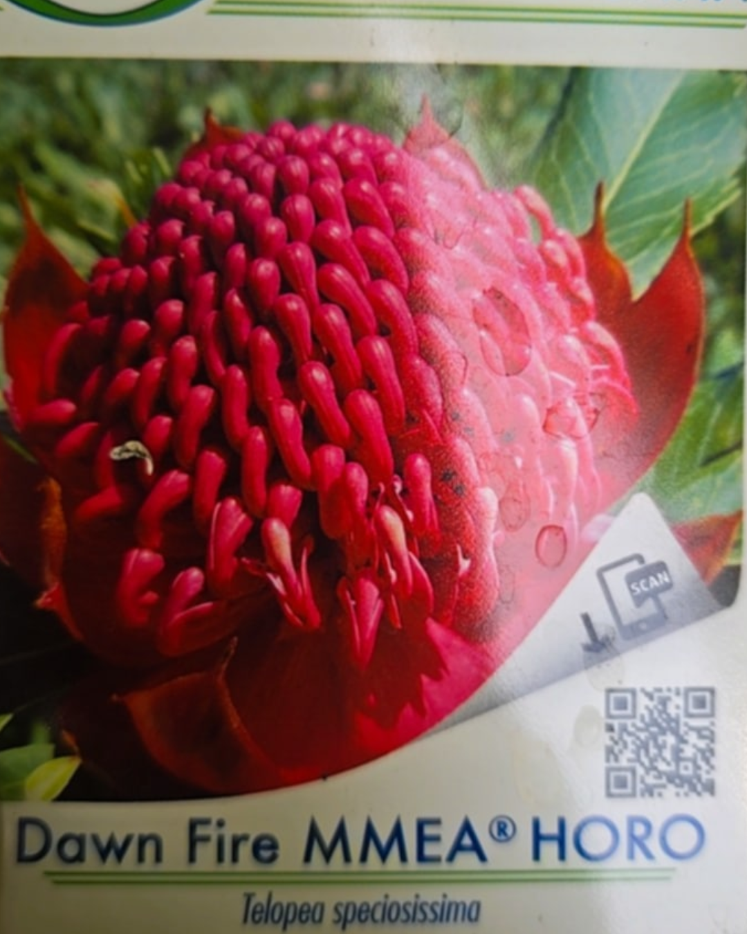 Design sem nome - 2025-11-28T173108.098