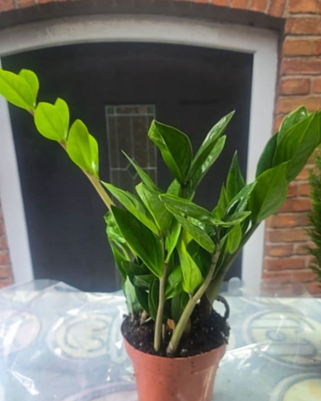 Design sem nome - 2025-11-28T175128.329