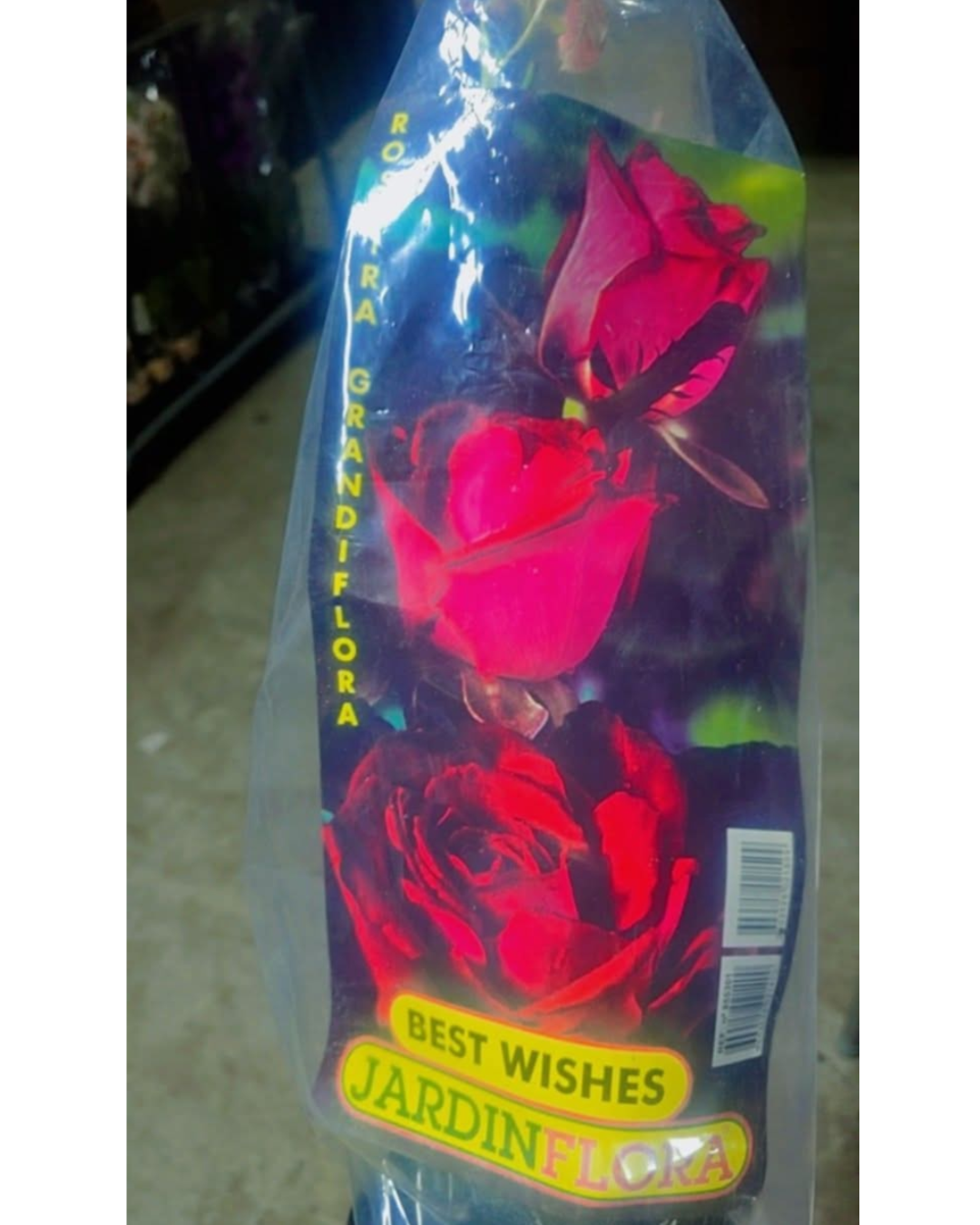 Design sem nome - 2025-11-28T181119.421