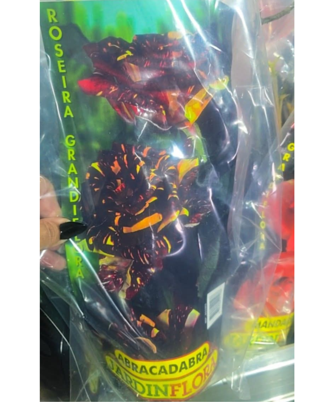 Design sem nome - 2025-11-28T181552.144