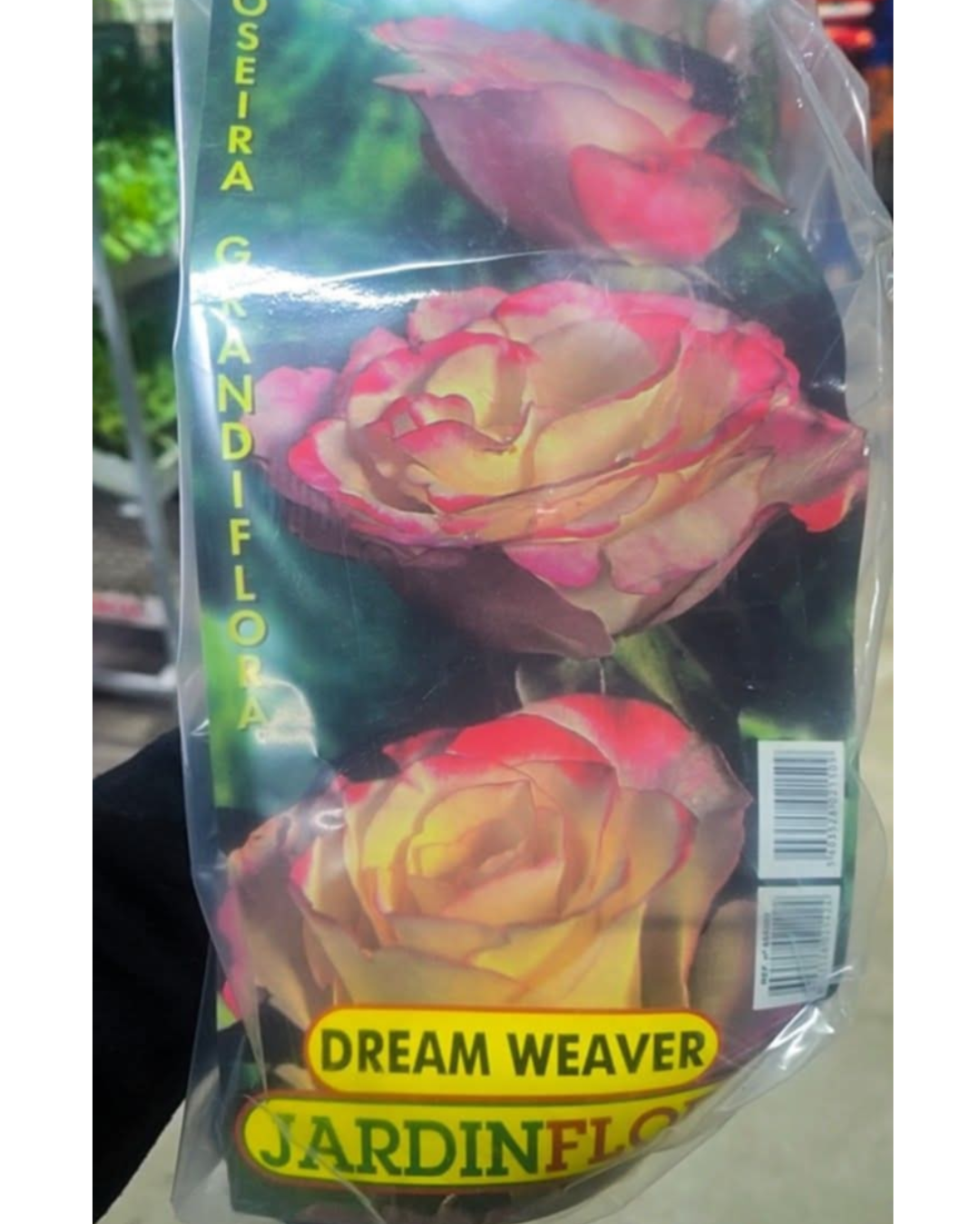 Design sem nome - 2025-11-28T182522.224