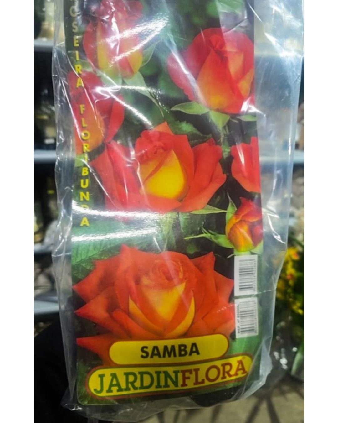 Design sem nome - 2025-11-28T182654.741