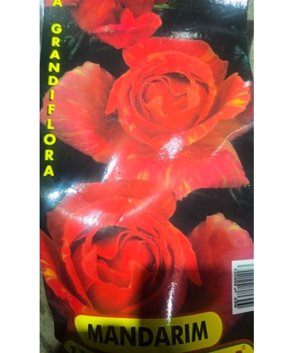 Design sem nome - 2025-11-28T183728.132