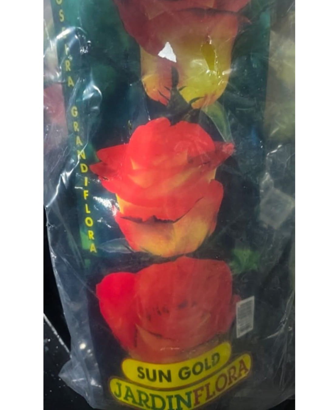 Design sem nome - 2025-11-28T183917.064