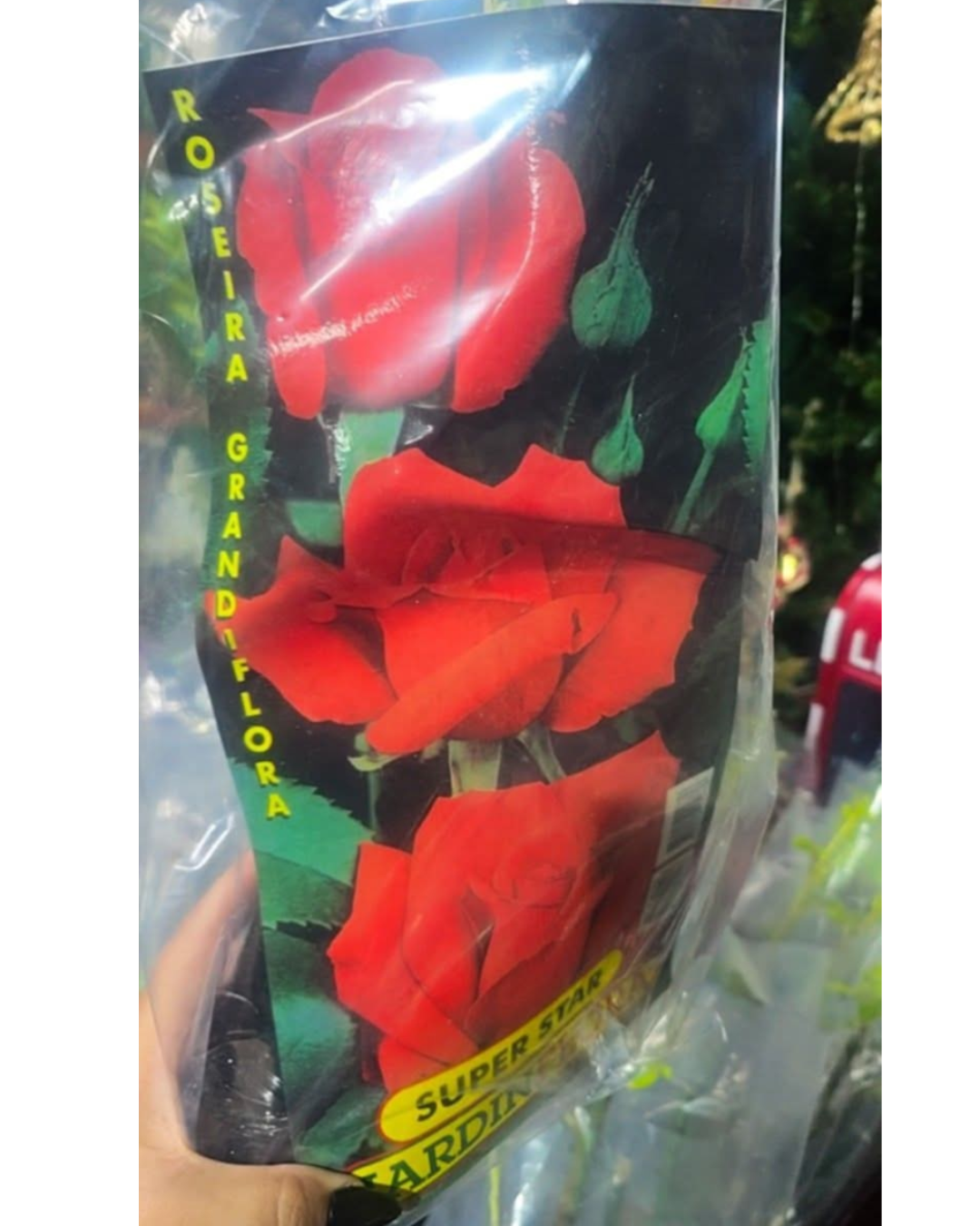 Design sem nome - 2025-11-28T184051.310