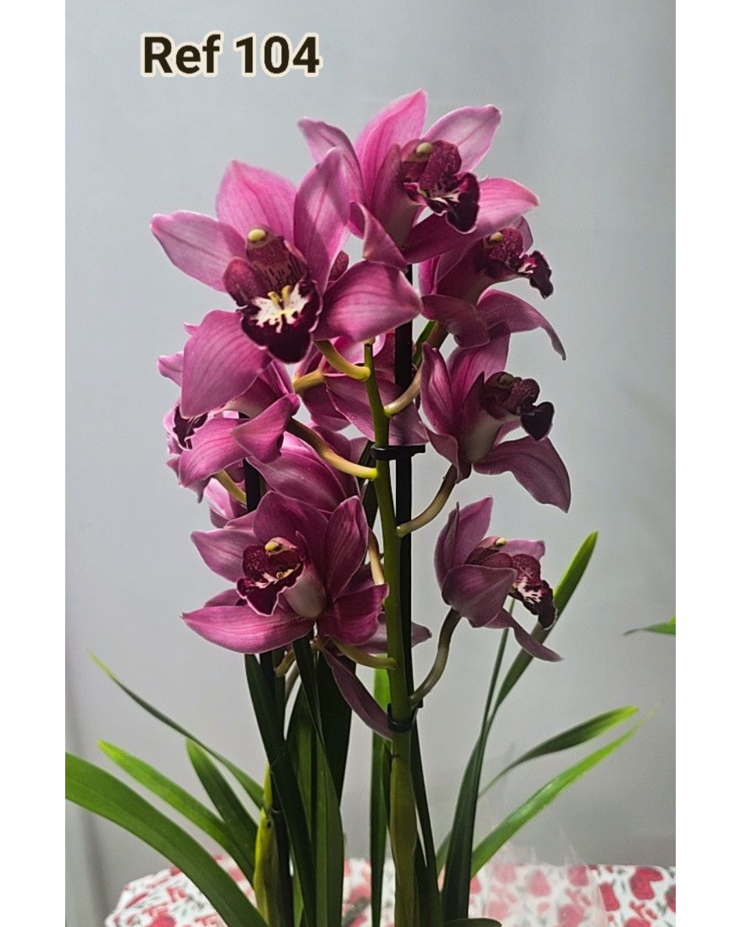 Design sem nome - 2025-12-12T155857.632