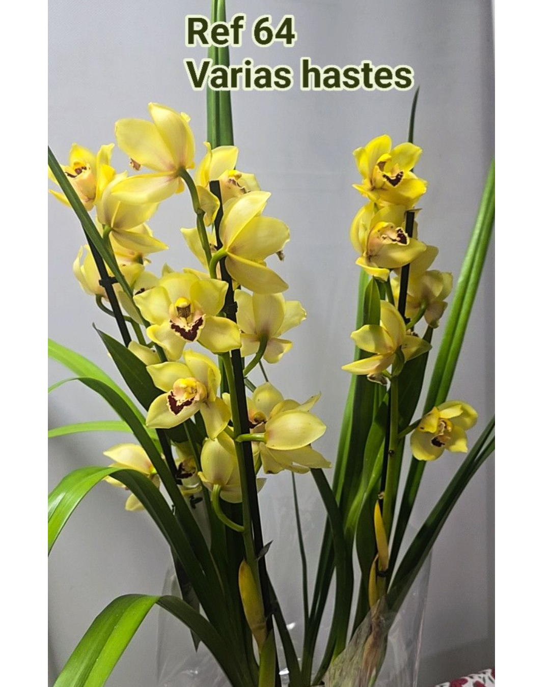 Design sem nome - 2025-12-12T165117.312