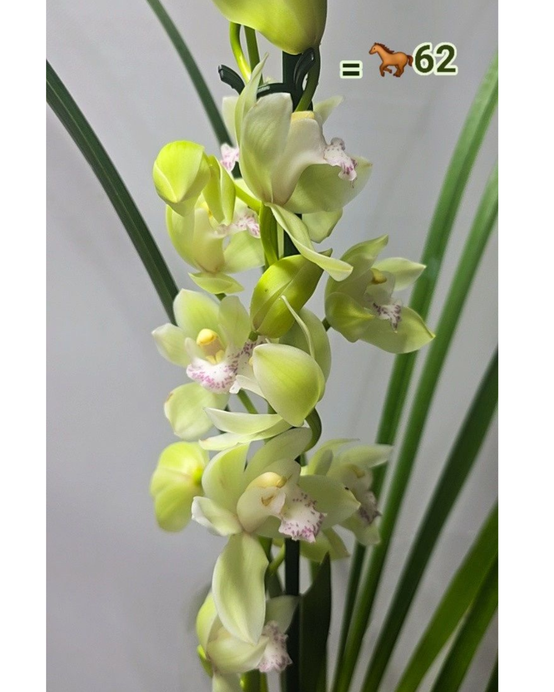 Design sem nome - 2025-12-12T165455.021