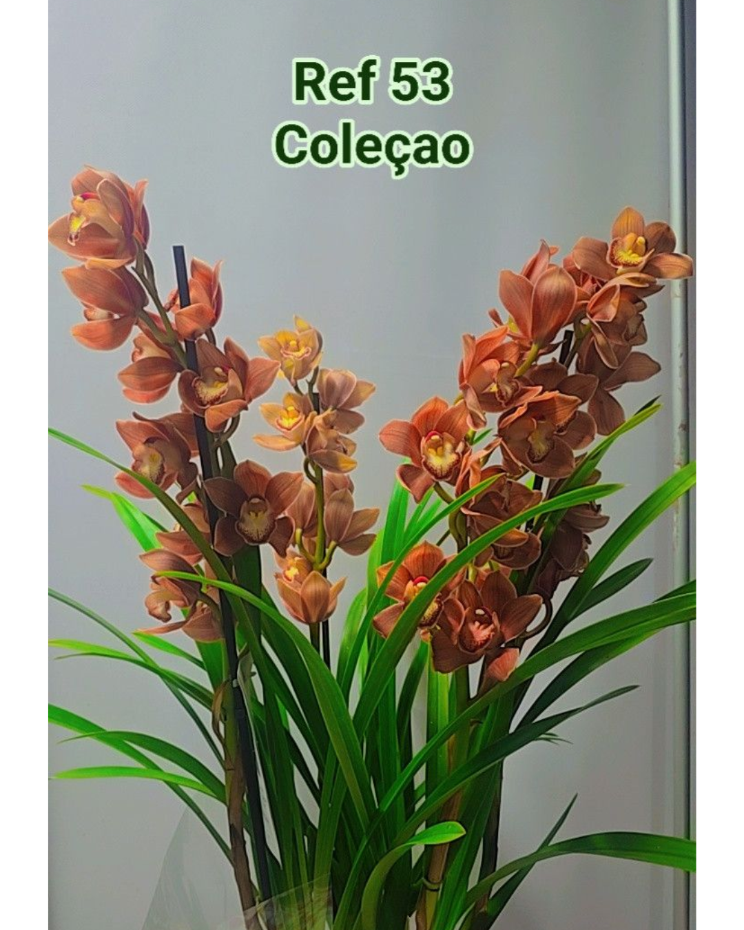 Design sem nome - 2025-12-12T170810.678