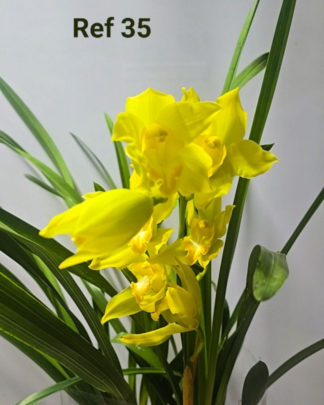 Design sem nome - 2025-12-12T173704.580