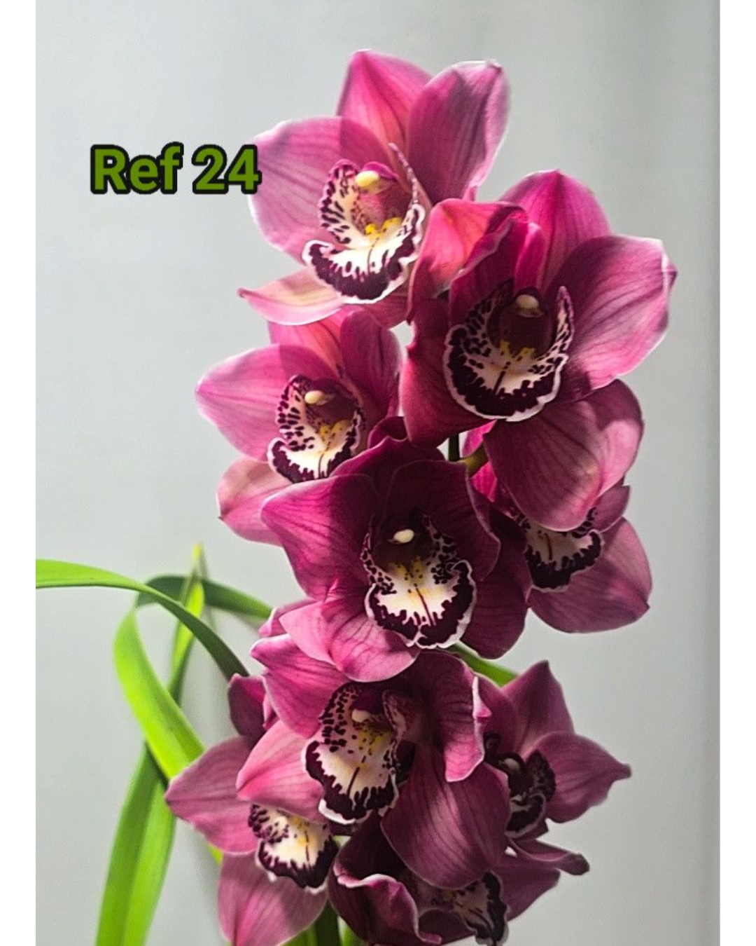 Design sem nome - 2025-12-12T175658.540