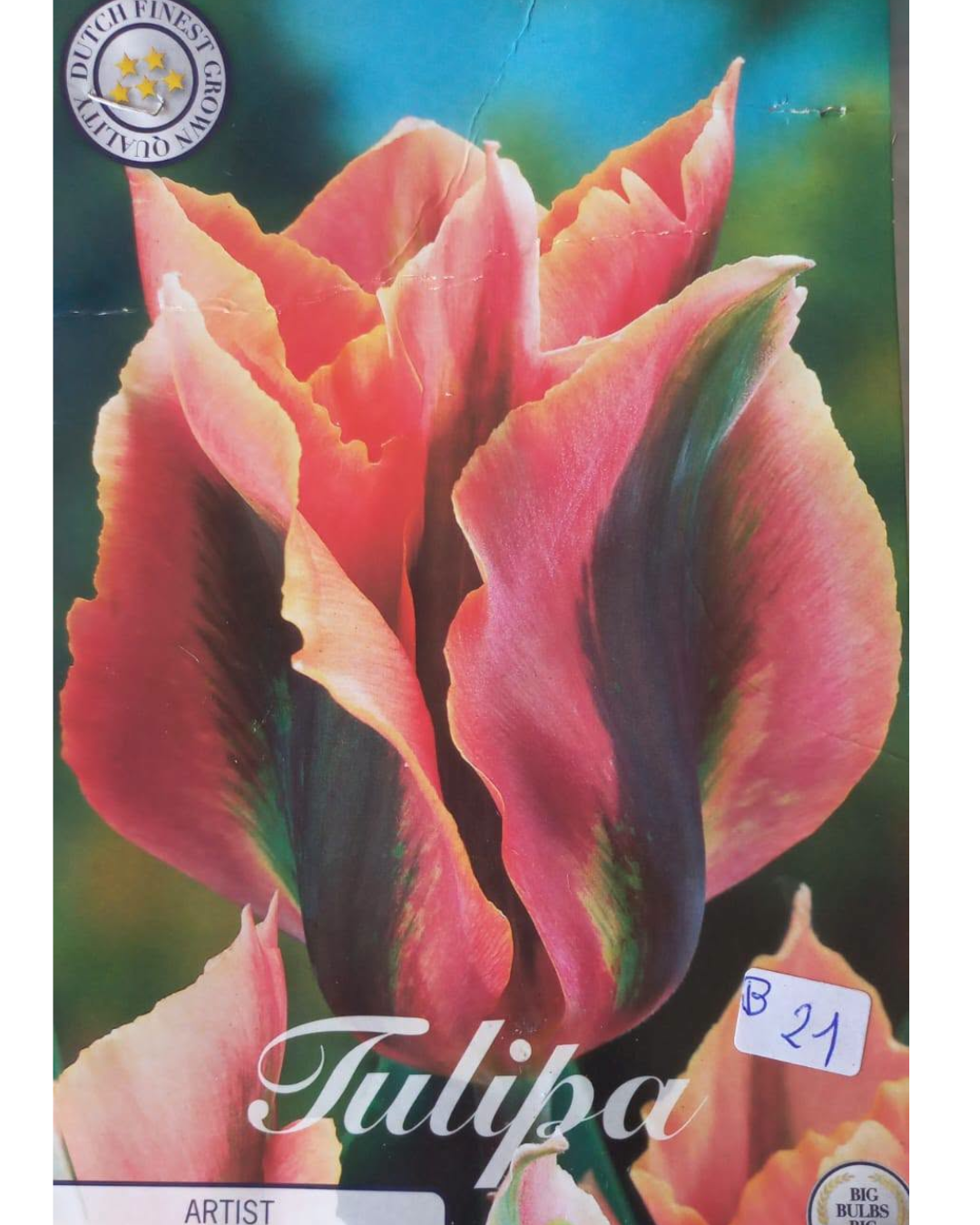 Design sem nome - 2026-09-15T115507.952