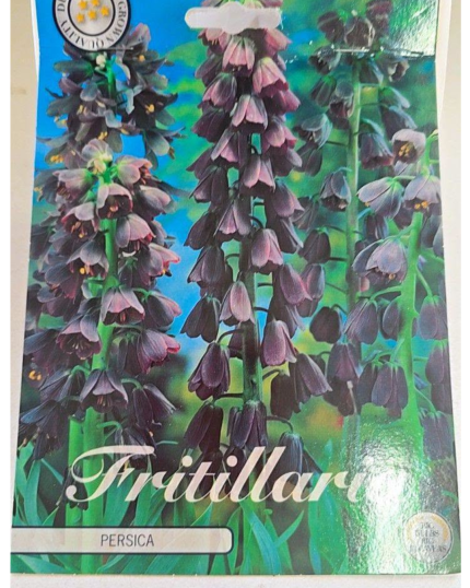 ESPANTA TOUPEIRAS - FRITILLARIA PERSICA