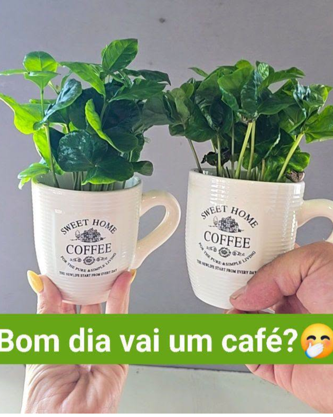 Design sem nome - 2026-09-15T145056.541