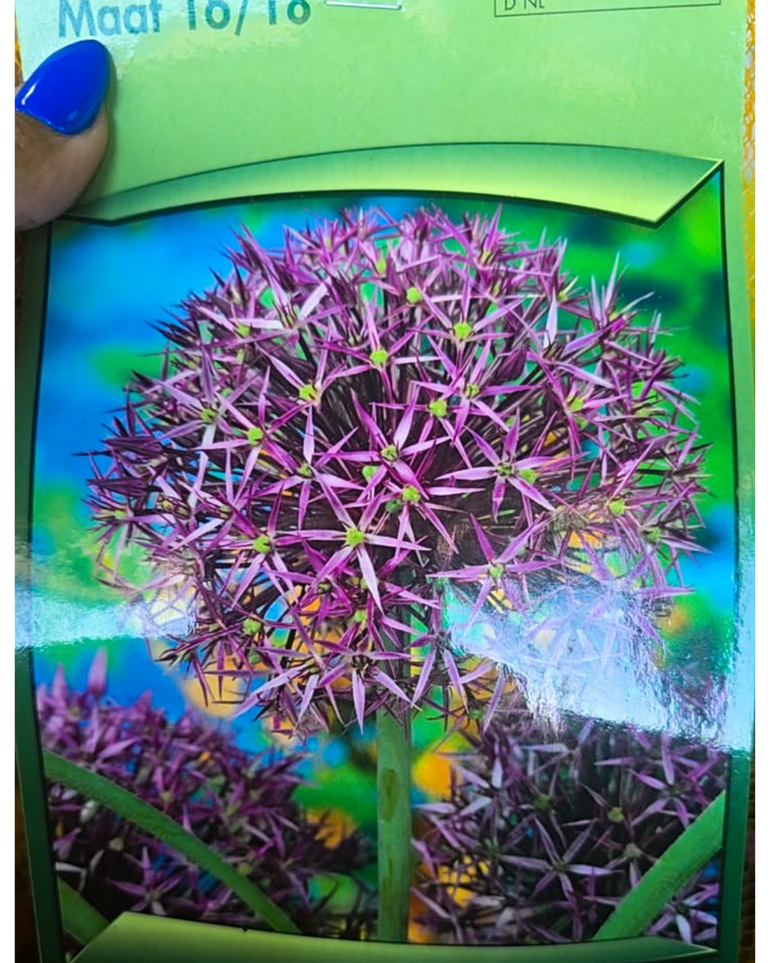 Design sem nome - 2026-09-15T182834.466
