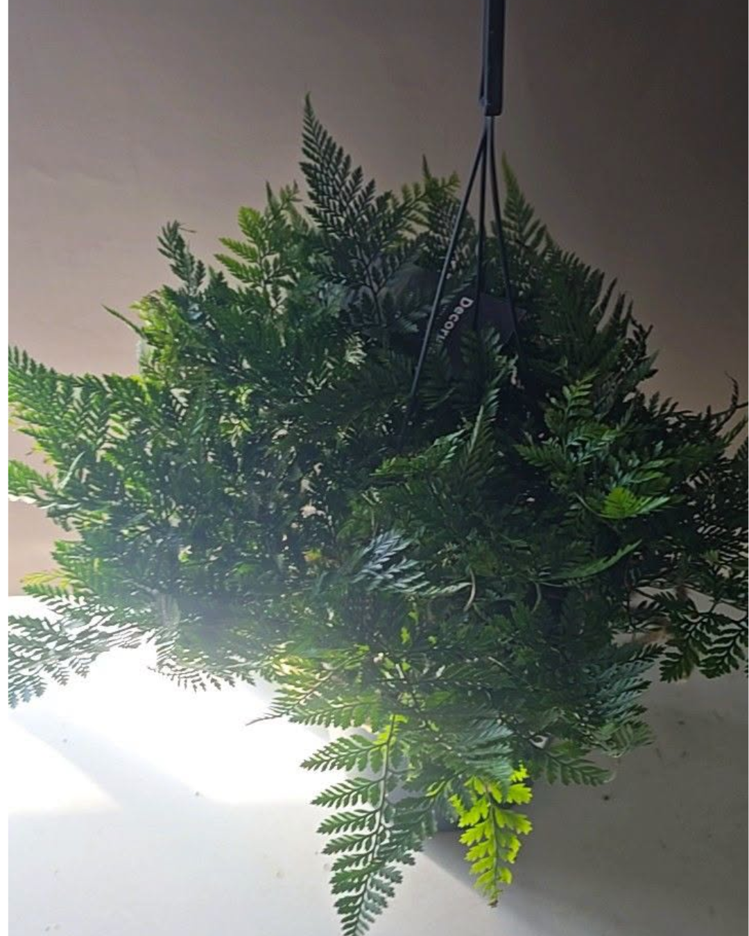 Design sem nome - 2026-09-19T112939.856